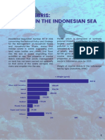 Marine Debris in Indonesia