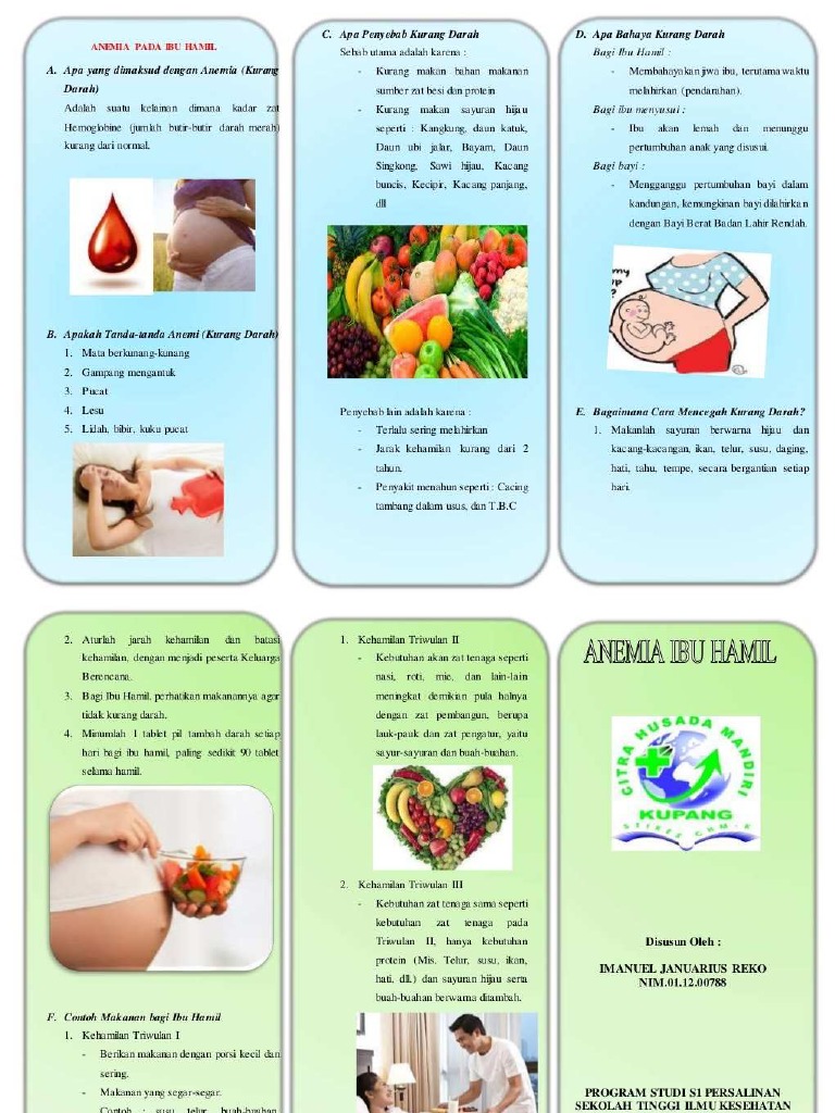 Early Pregnancy Urdu Meaning