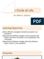 (07Q2W5) Circle of Life