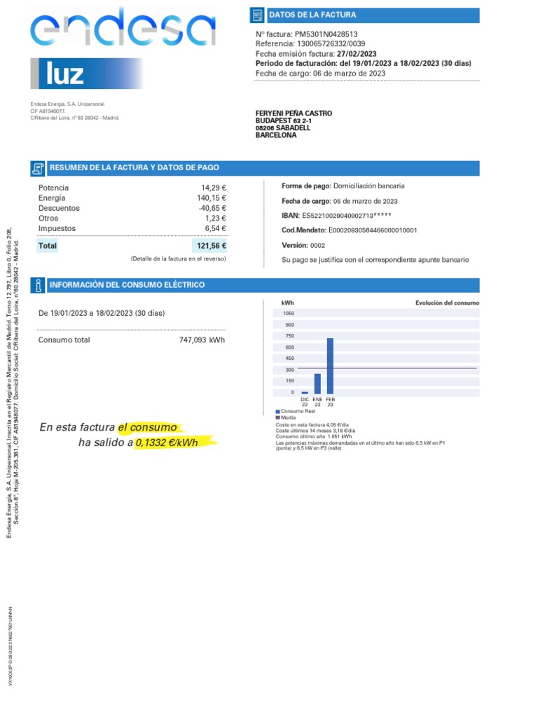 Factura de luz Endesa - Febrero 2023 | PDF | Factura | Economias