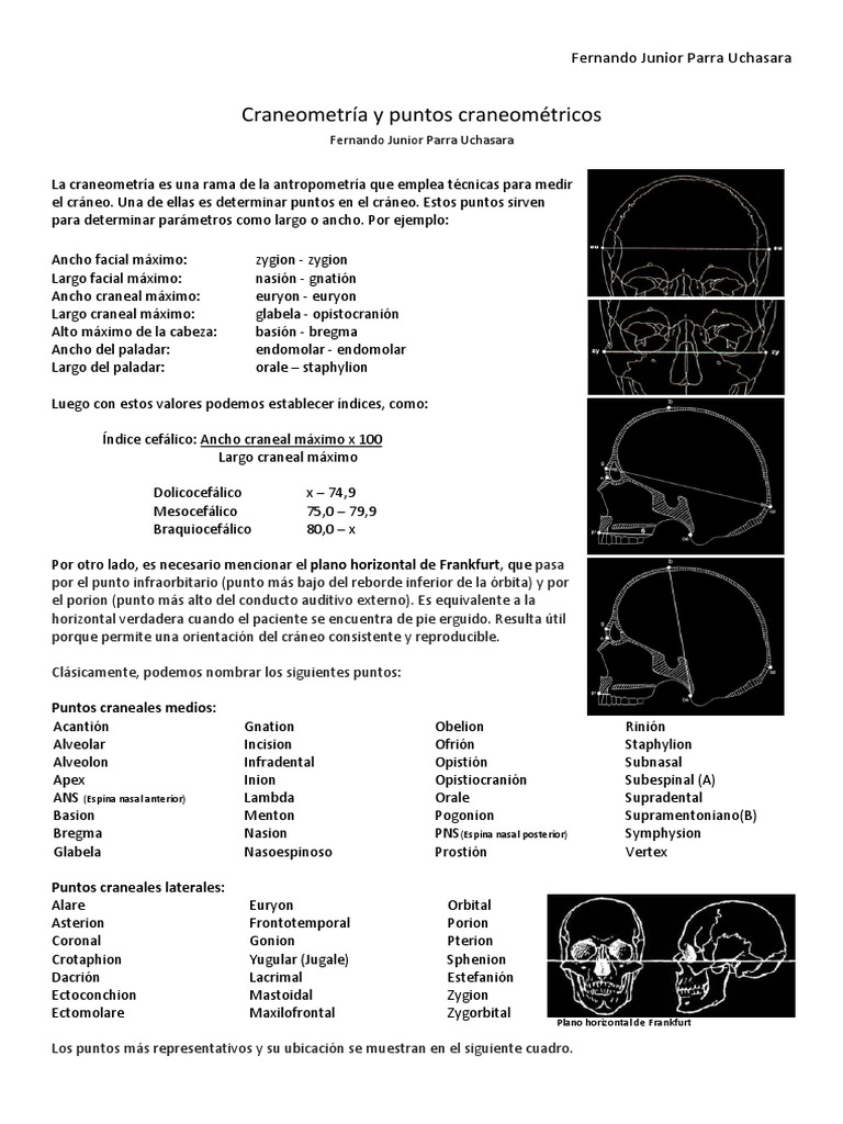 Puntos Craneomtricos y Medidas Crneo | PDF | Crneo | Sistema ...