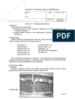 Exercise 7 - Integumentary System