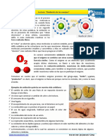 1anexo Exp 07 6act Ciencia y Tecnología 3ero