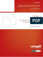 Tema 2 - Principios - Costitucionales - y - Normativa - Internacional