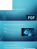 Database Security Techniques