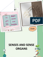 3S49 Senses