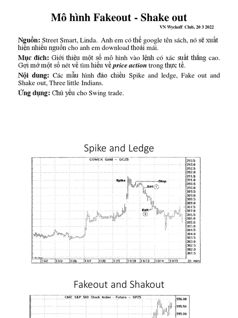 Shake Out and Fake Out | PDF