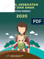 Profil Kesehatan Ibu Dan Anak Provinsi Bengkulu 2020