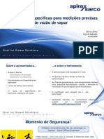 Webinario - Necessidades Especificas Medicao Precisa de Vapor