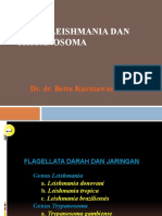 LEISHMANIA DAN TRYPANOSOMA