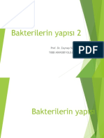 PDF 3 (11 Eki̇m) (Bakteri̇leri̇n Yapisi)
