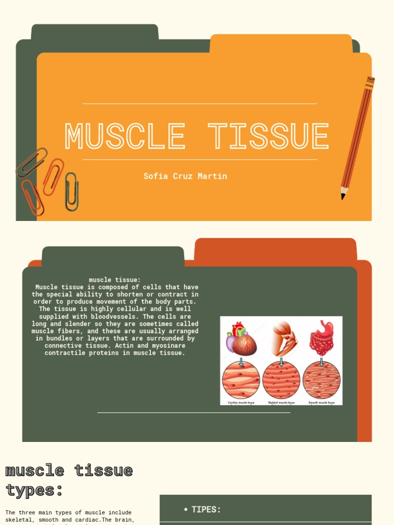 Muscle Tissue PDF