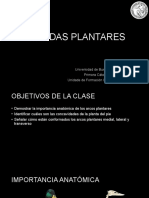 Bóvedas Plantares