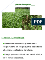 Fisiologia de plantas forrageiras: C3 x C4