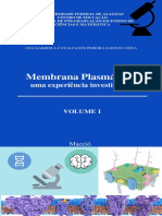 Produto Técnico Tecnológico - PPGECIM - Ana Gabriela PDF