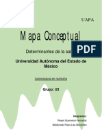 8 Mapa Conceptual de Los Determinantes Sociales en Salud 2 PDF