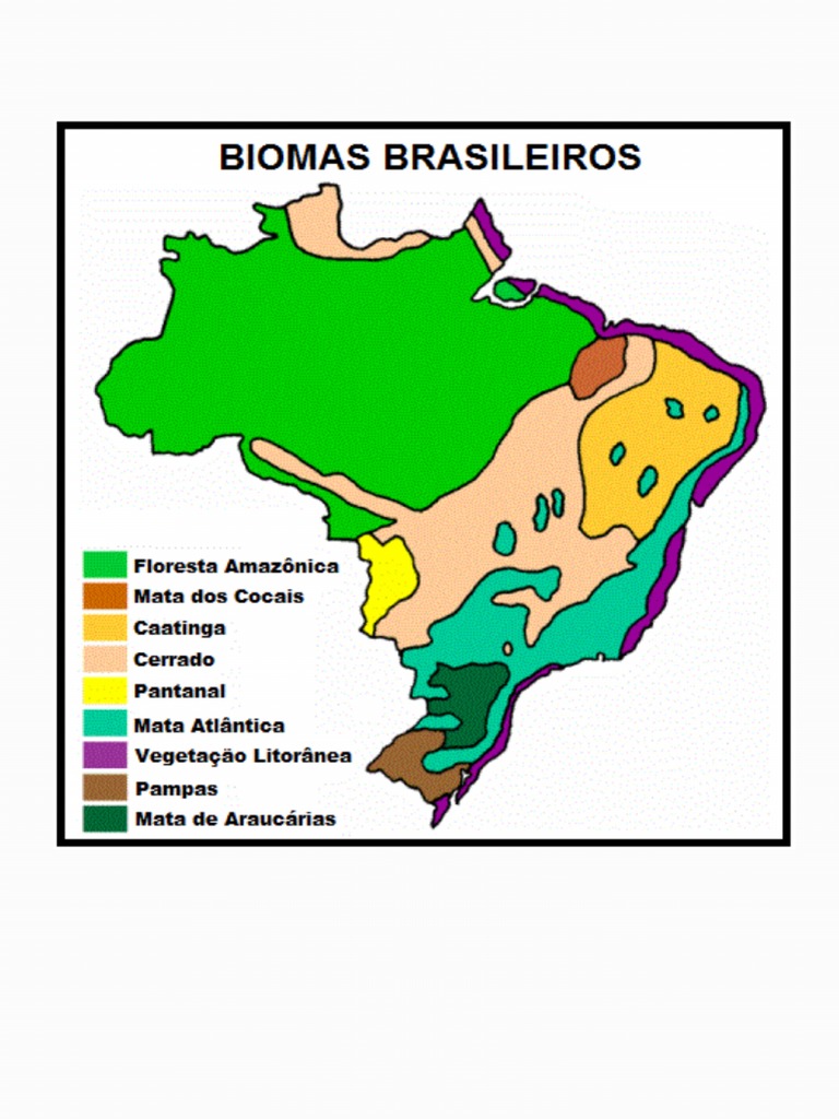 Biomas Brasileiros No Mapa - 230223 - 172958 | PDF