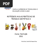 APOSTILA  TD  PRÁTICA 2011