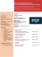 Curriculum Vitae (Blanca Ccolque Maccarcco)