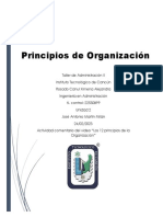 Principios Organizacionales PDF