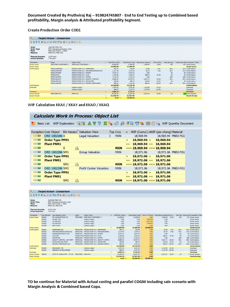 WIP Calculation Product Cost by Order | PDF