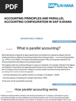 ACCOUNTING PRINCIPLES AND PARALLEL Accounting Configuration