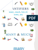 Quantifiers Many Much Lots of Some Any Flashcards Grammar Drills Icebreakers - 140087