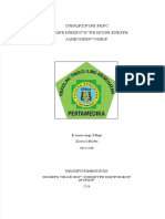PDF Laporan Pendahuluan Bronkopneumonia Palupi - Compress