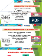 Plan Lector y Fiesta Libro PDF