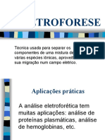 ELETROFORESE.ppt