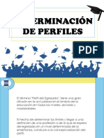 Determinacion de Perfiles PDF