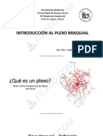 FIL ADD: Introducción Al Plexo Braquial
