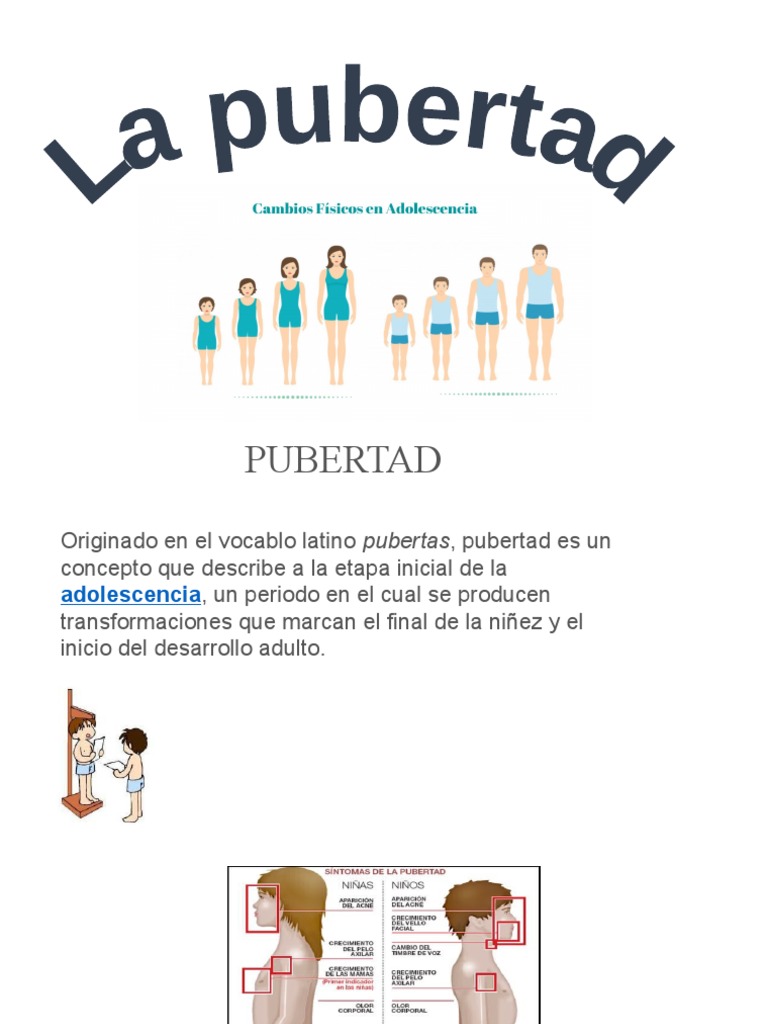 La Pubertad | PDF