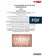 vsip.info_micro-y-macro-anatomia-de-los-tejidos-periodontales-pdf-free