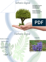 Herbario Jacintos de Daniel F 6ºb