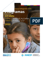 Compilación Programas 1er Ciclo Final PDF