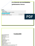 Guia de Valoracion Holigohidramios PDF