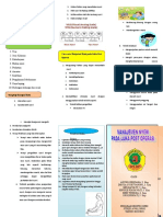 Leaflet Nyeri Doc