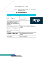 Cronograma curso Fundamentos seguimiento EFA OEFA