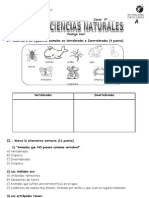 Pruebainvertebrados A