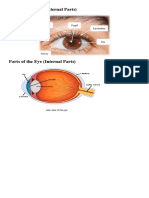 Parts of The Eye - Internal and External