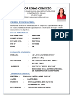 C.V. Documentado - Flor Rojas C PDF