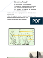 Evolução Do Comportamento Humano 2