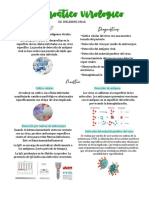 Diagnostico Virologico: ¿Que Es? Diagnosticos