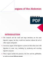 Accessory Organ of The Abdomen