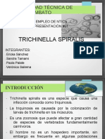 Presentacion1trichinella 131004182128 Phpapp01
