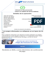 Pago de Servicios PDF