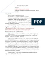 Pszichologia Vizsga PDF