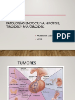 Clase Practica de Patologia Endocrina-1-1 PDF