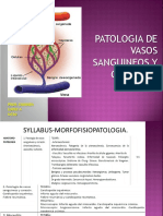 PATOLOGIA CARDIOVASCULAR-CLASE TEORICA-2DO PARCIAL.pdf